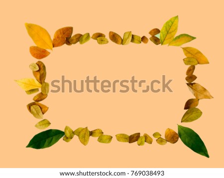 Autumn falling leaves isolated on pastel yellow orange background