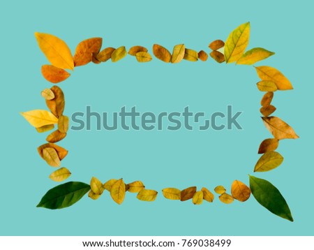 Autumn falling leaves isolated on pastel green cyan background