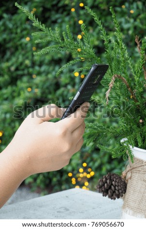 close-up of a woman hand using mobile phone with blurred background light tree. Communication technology is available anytime, anywhere.