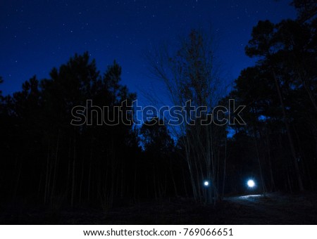 Two flashlights in a dark forest with stars overhead