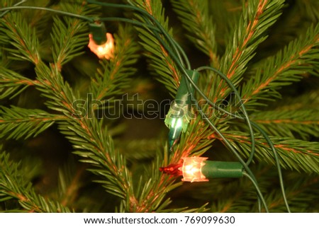 Christmas tree lights and decorations on fir tree branches.