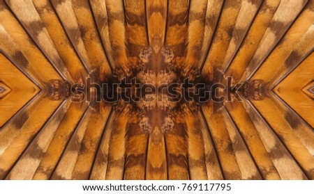 Abstract symmetric pattern of feathers owls close-up as background. The texture of the wing feathers of the owl. Macro of the brown and yellow feathers of a owl. The image with mirror effect.