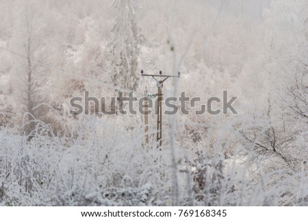 Cold winter landscape
