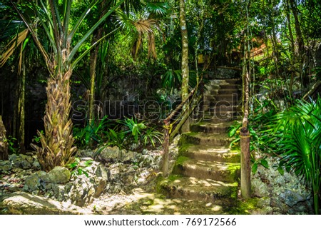 Stairs of stone up in the green trees