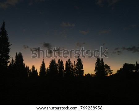 Early morning sunrise with tree silhouettes