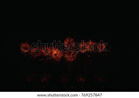 Firework. Celebratory bright firework in a night sky.