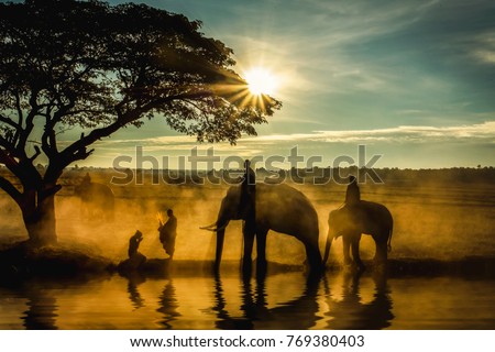 Silhouette of elephants , trees , monk and woman pay-respect in the sunset