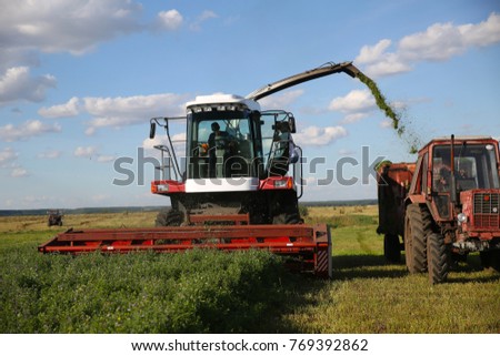 
Harvesting alfalfa in the field. A photojournalist photographs the agricultural process. Royalty-Free Stock Photo #769392862