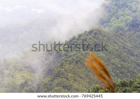 Hill with forest and cloud