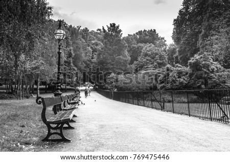 Wooden benches in a park in black and white