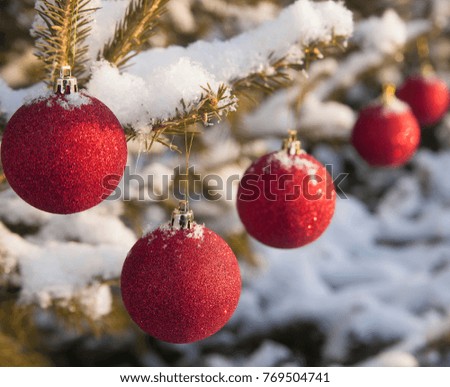 red round circle Christmas toys hang on green fir branches. outdoor image. Snowflakes lie on ornament or pattern. Merry christmas idea, concept.