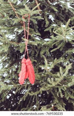 Red mittens on fir tree green branches.