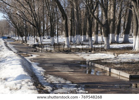 Spring nature, snow and  pools and trees  in park