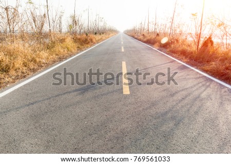 An empty asphalt road offshore in the fall
