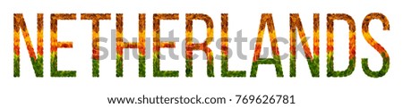 netherlands. word is written with leaves white isolated background, banner for printing. Beautiful inscription poster of color leaves netherlands