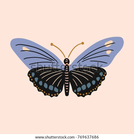 Butterfly clip art design vector vintage illustration