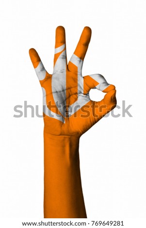Hand making Ok sign, Antarctica flag painted as symbol of best quality, positivity and success - isolated on white background