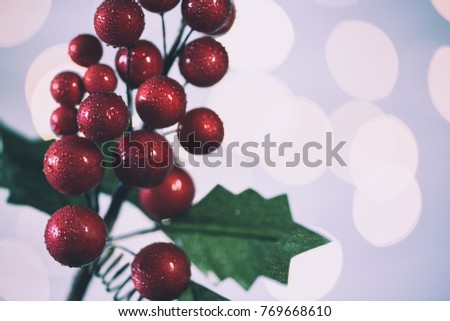 Holly isolated on white background with christmas lights.