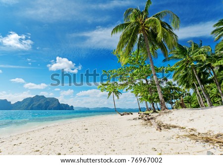 Tropical white sand beach with palm trees.