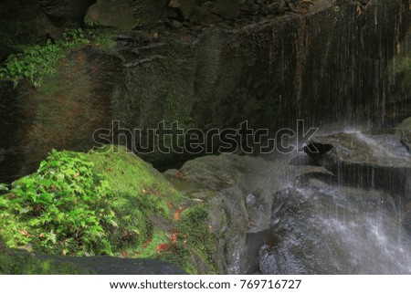 
Waterfall with nature
