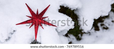 Snowy fir branches with christmas red star.