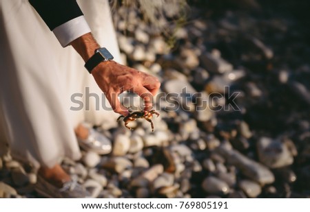 Sea crab in the hands of a man.
