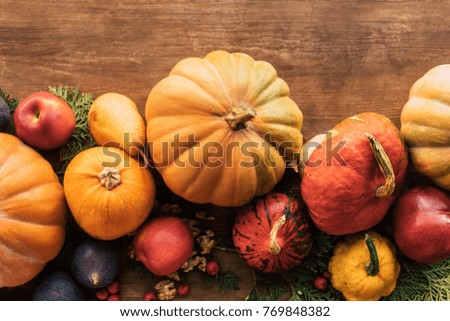 top view of autumn harvested fruits and vegetables