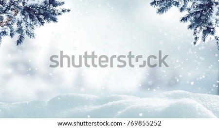 Christmas background with fir tree branch.Winter landscape Royalty-Free Stock Photo #769855252