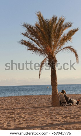 Man reading, sitting in a hammock next to a palm tree on the beach, is winter.