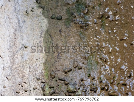 A concrete wall covered with lichen