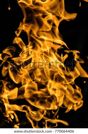 bright flame of fire on a black background