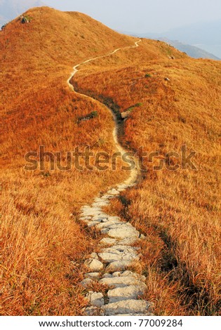 mountain path and yellow grass