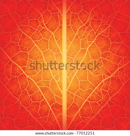 Creative background with leaf pattern. Vector drawn manually, without tracing. File layered. Eps10 Royalty-Free Stock Photo #77012251