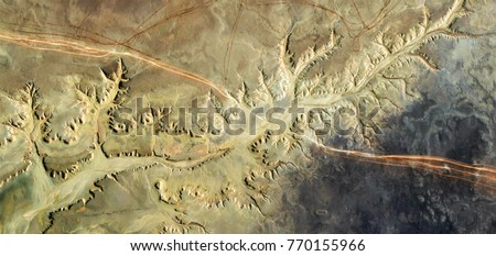 the fallen tree, abstract photography of the deserts of Africa from the air. aerial view of desert landscapes, Genre: Abstract Naturalism, from the abstract to the figurative, contemporary photo art