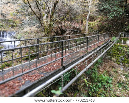 Bridge at Japanese Garden in Autumn