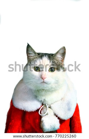 cool tom cat in santa claus garment mantel with white fur collar 2016 calendar with month net and snow flakes