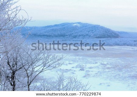 Early morning on the winter at Kushiro Marsh,Hokkaido,Japan.