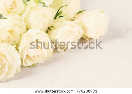 White roses on light grey background with free space for text. Selective focus. Retro toning