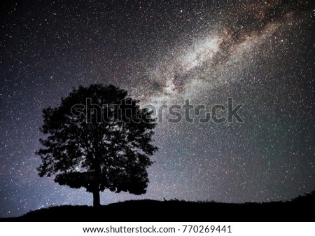 Landscape with night starry sky and silhouette of tree on the hill. Milky way with lonely tree, falling stars. Universe