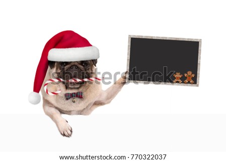 cute Christmas pug dog with santa hat and candy cane, holding blankboard sign in paw, isolated on white background