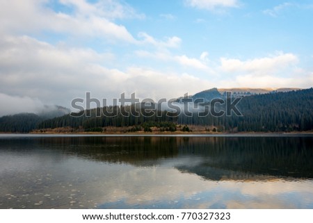 Forest and Lake landscape