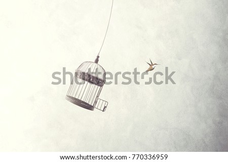 little birds escape out of birdcage, freedom concept Royalty-Free Stock Photo #770336959