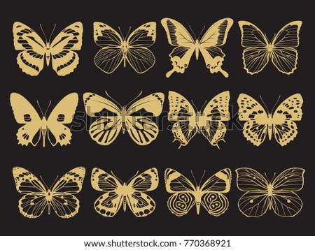 Golden butterflies decoration of collection on black background. Vector illustration