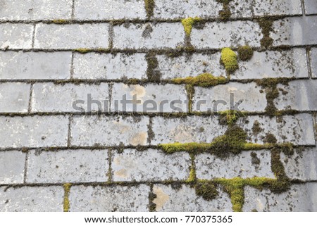 Old Roof tiles with moss plants background