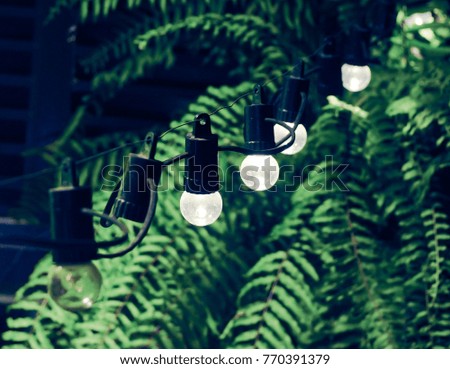 set of light bulbs with tree leaves background