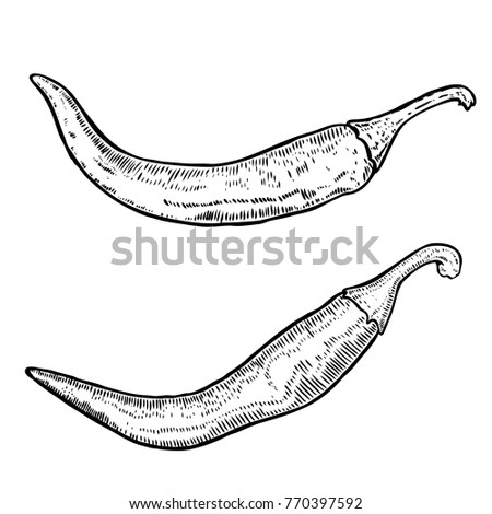 Chili peppers in engraving style. Design element for poster, card, banner.