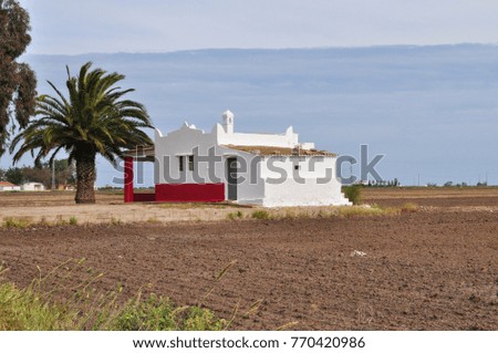 Dry rice fields with traditional farmhouse landscape, Delta river Ebro, Tarragona, Spain. 