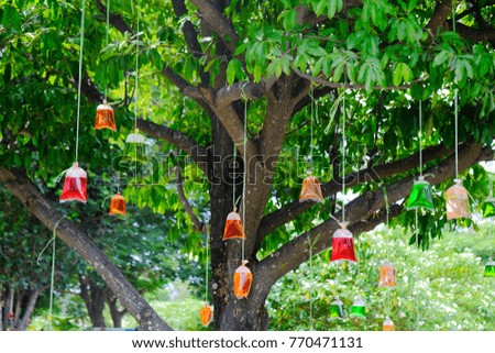 Colorful water in plastic bag hanging under the big tree. This is new idea for decorate on Graduate Day. Concept be used for holiday and creative idea. Blur picture.
