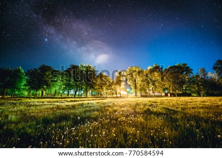 Green Trees Woods In Park Under Night Starry Sky. Night Landscape With Natural Real Glowing  Milky Way  Stars Over Meadow At Summer Season. View From Eastern Europe At Spring Season.