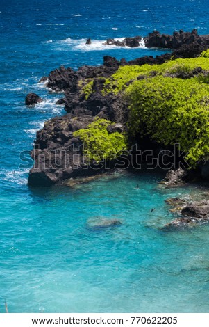 beautiful Hawaiian landscape nature